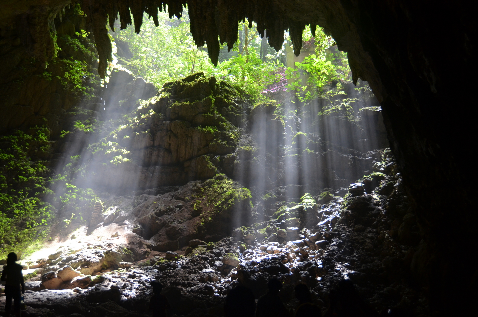 mossy cave