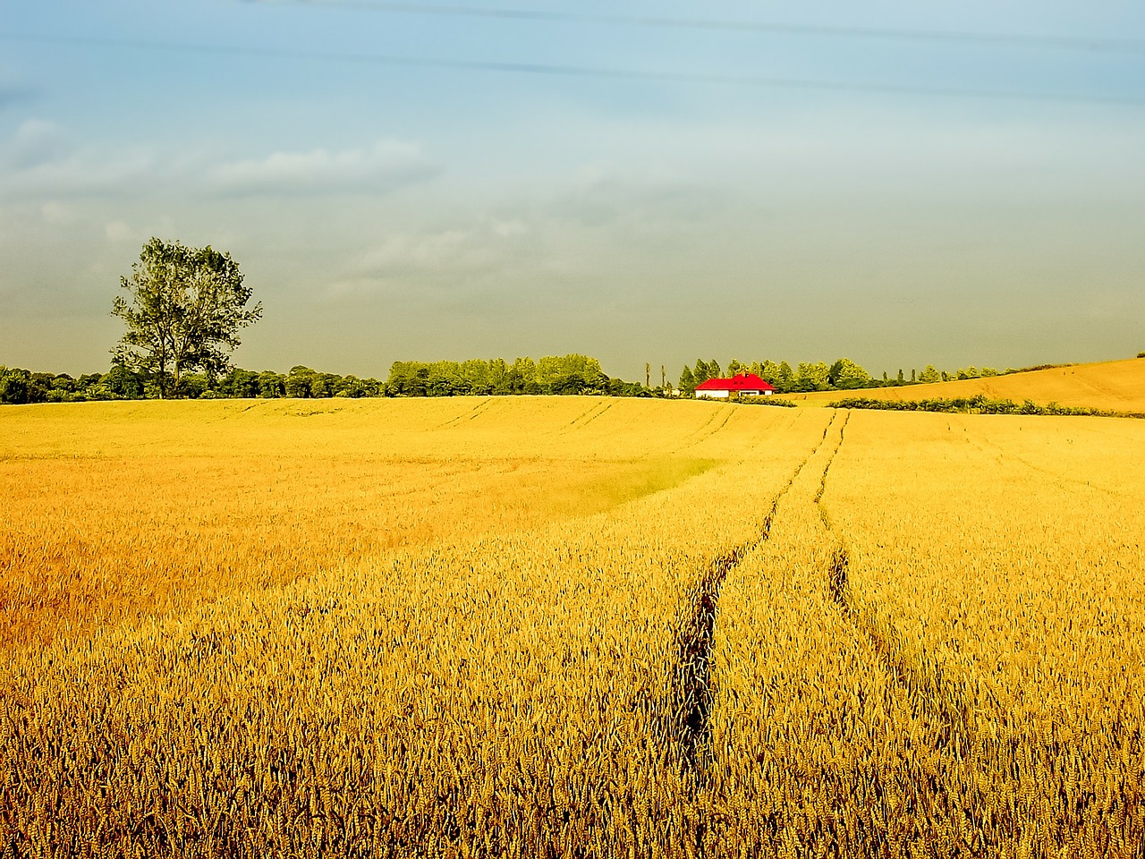 rolling fields