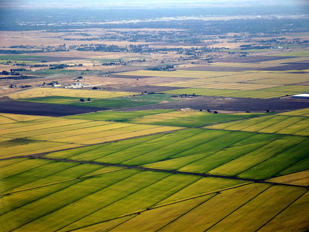 fields from the air