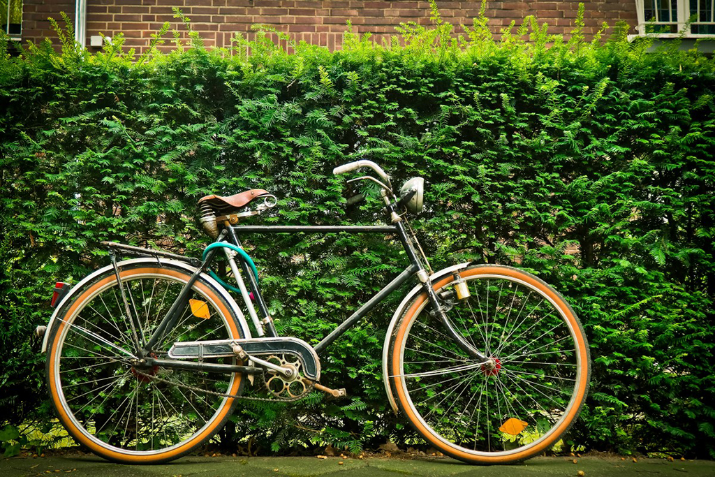 bike leaning against a hedge