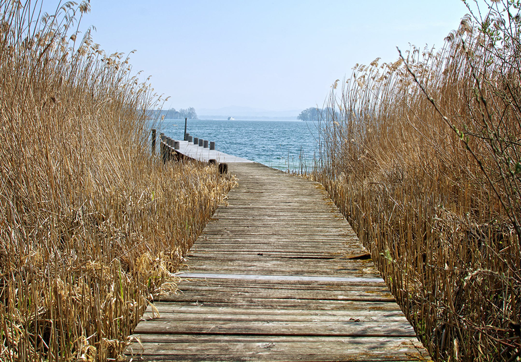 boardwalk