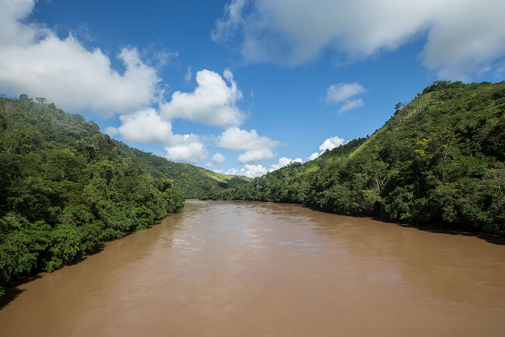 swollen river