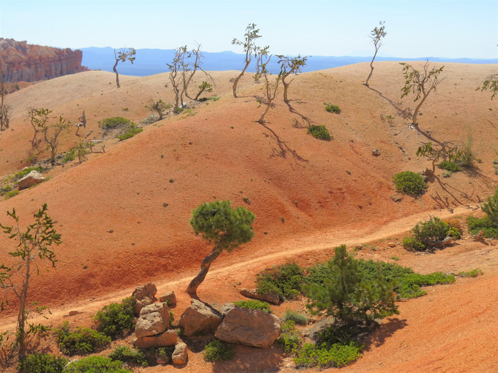 Bryce Canyon trail