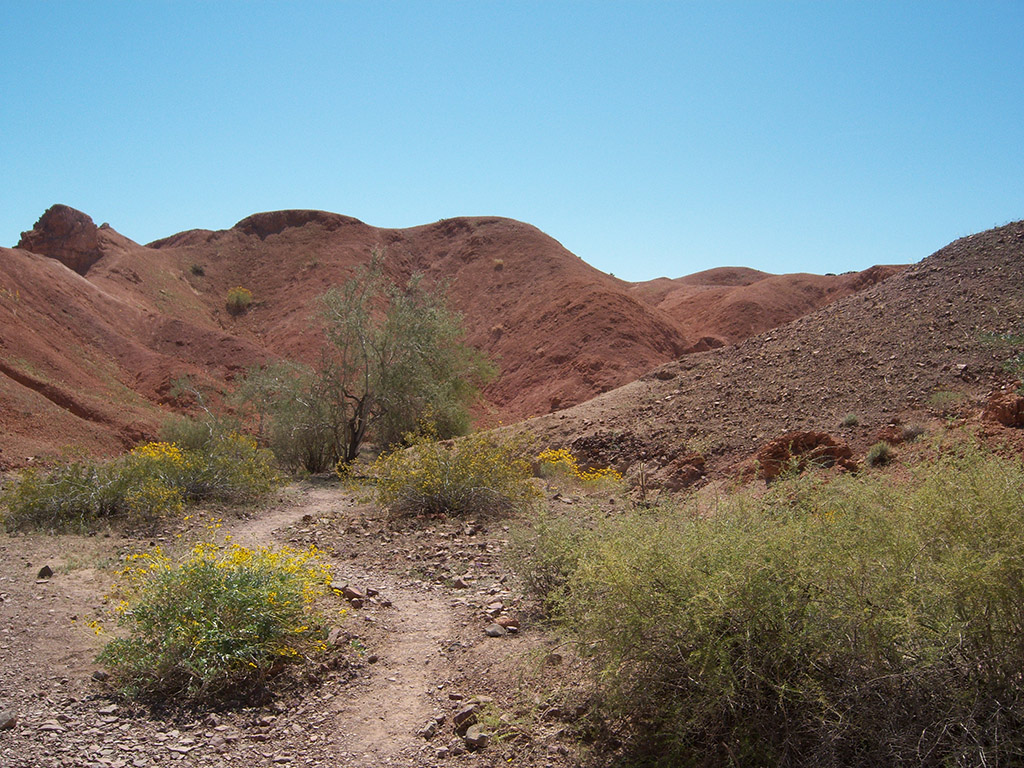 desert trail