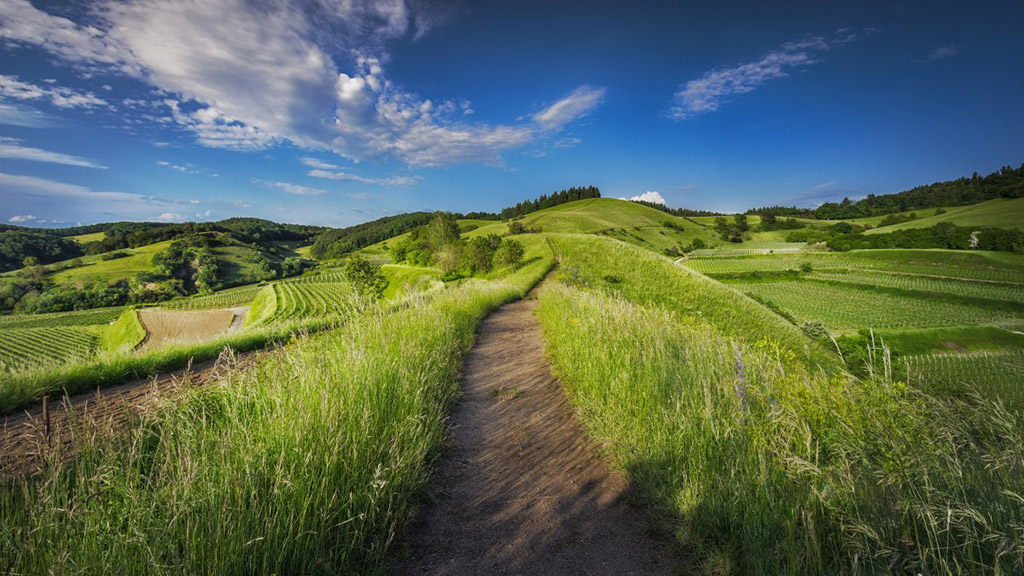 path through hilly fields