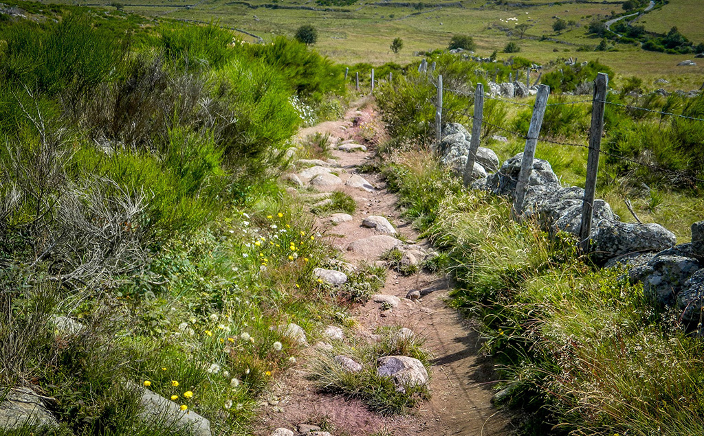 hiking across fields