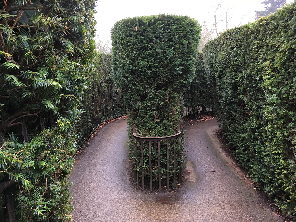 landscaped maze