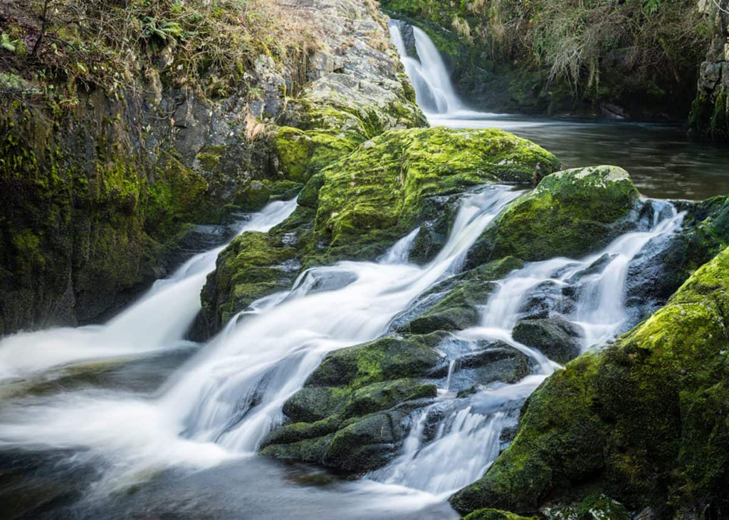 small mossy waterfall