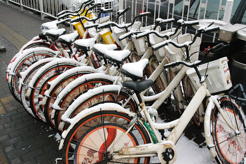 bikes covered in snow