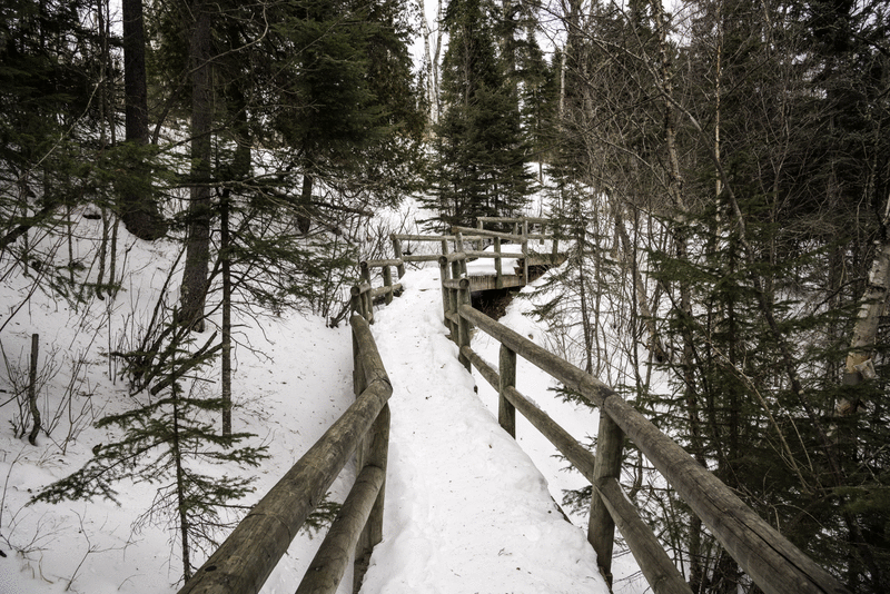 snowy path