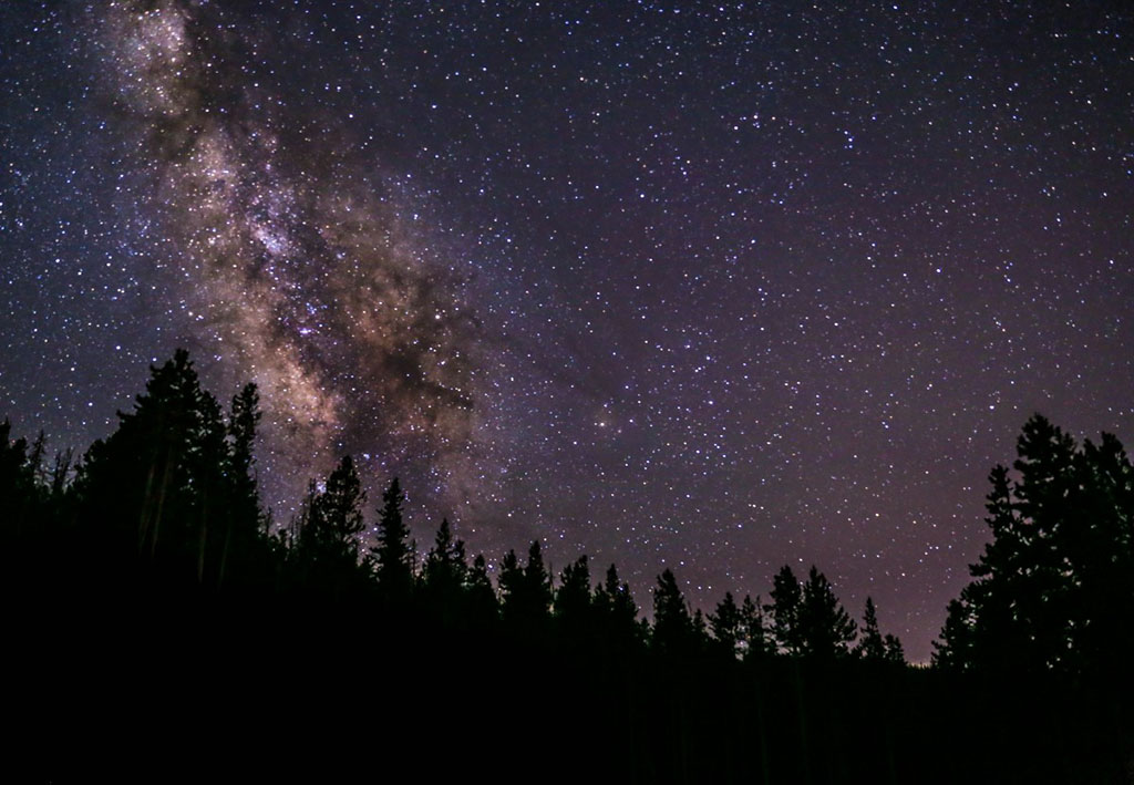 expansive night sky