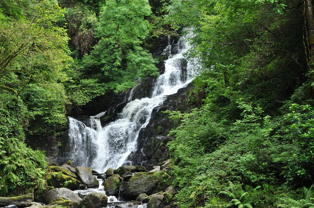 waterfall in forest